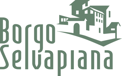 Borgo Selvapiana icon